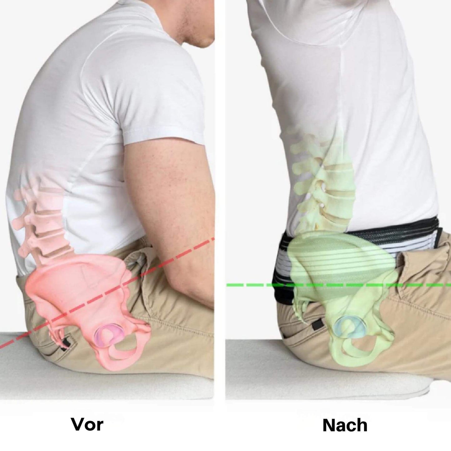 OrthoFlex™ Rückenstützgürtel | Befreien Sie sich in nur 2 Wochen von Ischias- und Rückenschmerzen!