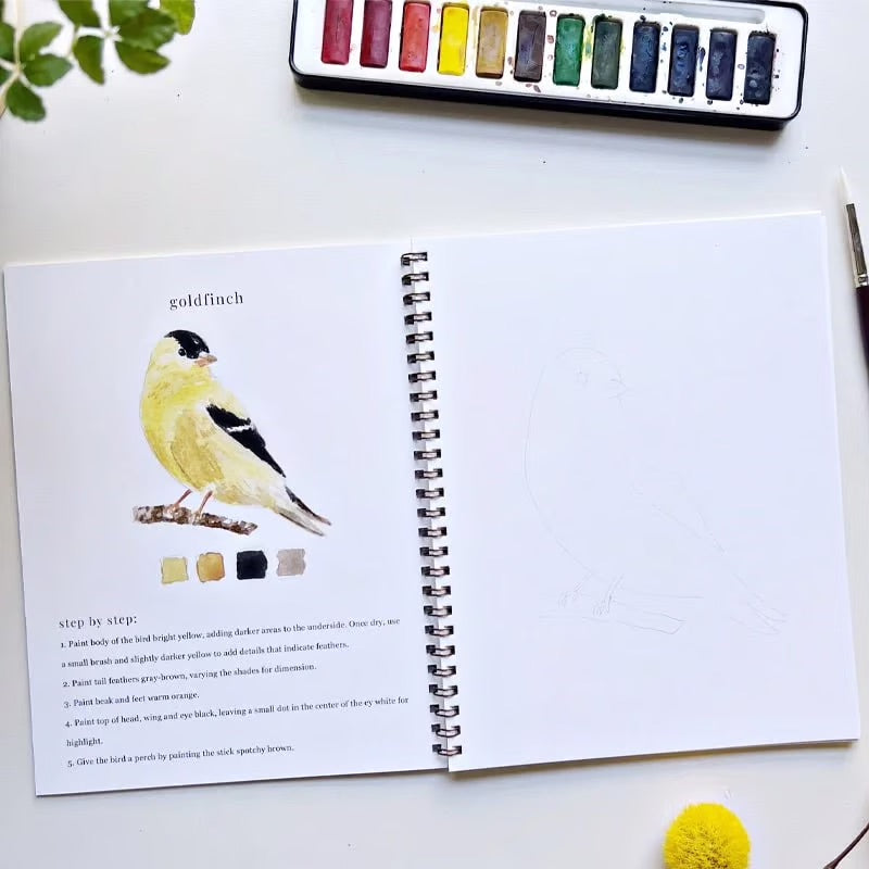 AquaRêve™ | Entfalten Sie Ihre Kreativität mit unserem unterhaltsamen Aquarellbuch!