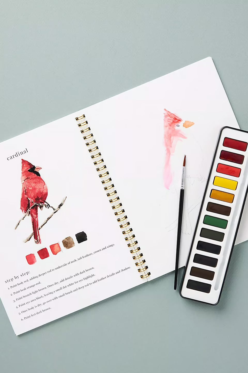 AquaRêve™ | Entfalten Sie Ihre Kreativität mit unserem unterhaltsamen Aquarellbuch!