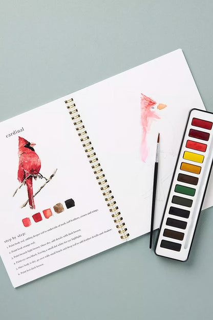 AquaRêve™ | Entfalten Sie Ihre Kreativität mit unserem unterhaltsamen Aquarellbuch!