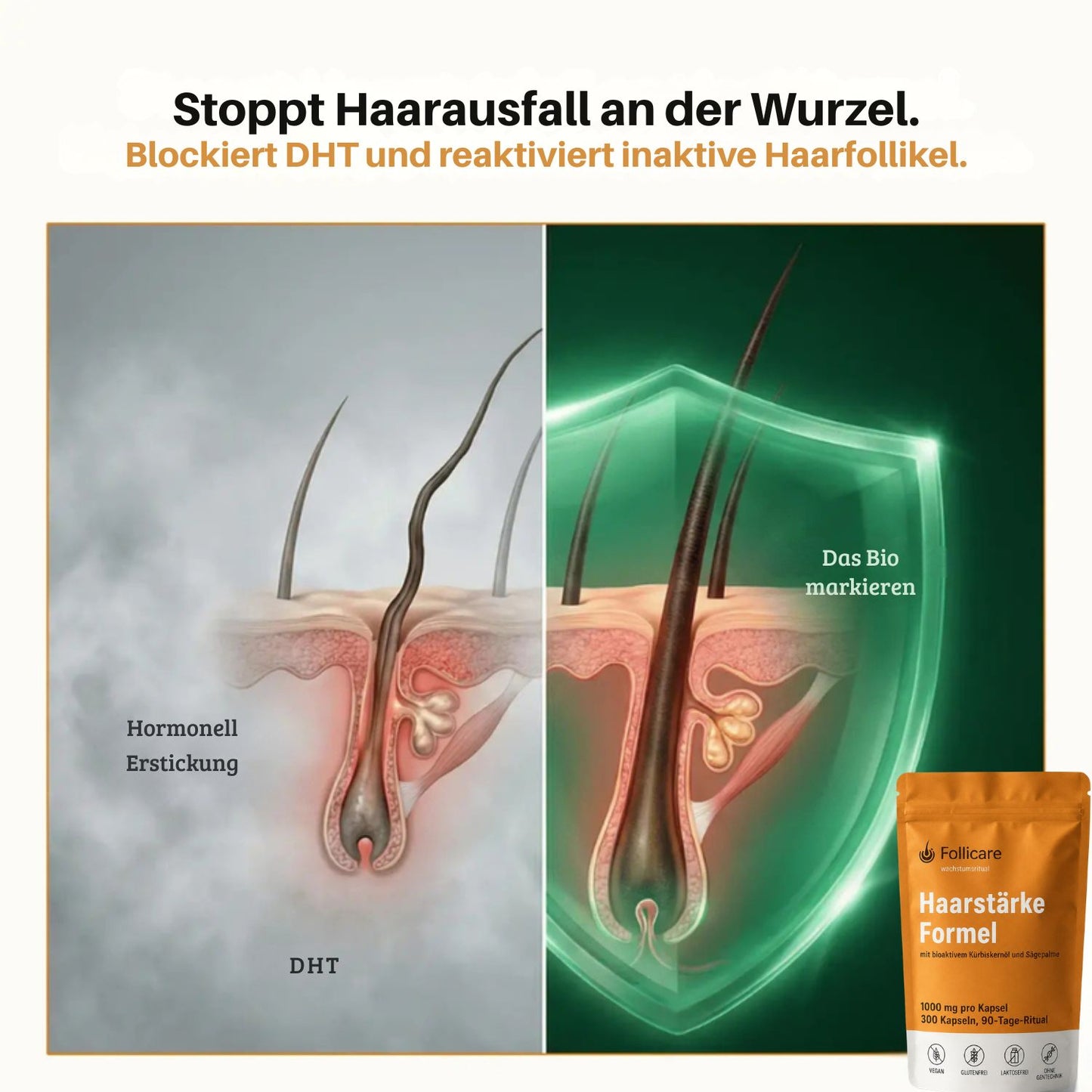 Follicare™ | Stärken Sie Ihr Haar von innen und erleben Sie wieder mehr Fülle