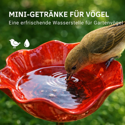 ZenBlossom™ | Verleihen Sie Ihrem Garten mehr Leben, Farbe und Ruhe