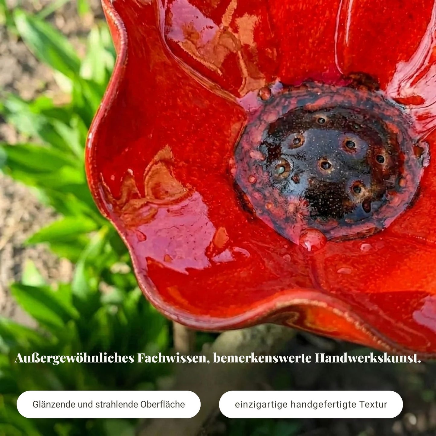 ZenBlossom™ | Verleihen Sie Ihrem Garten mehr Leben, Farbe und Ruhe