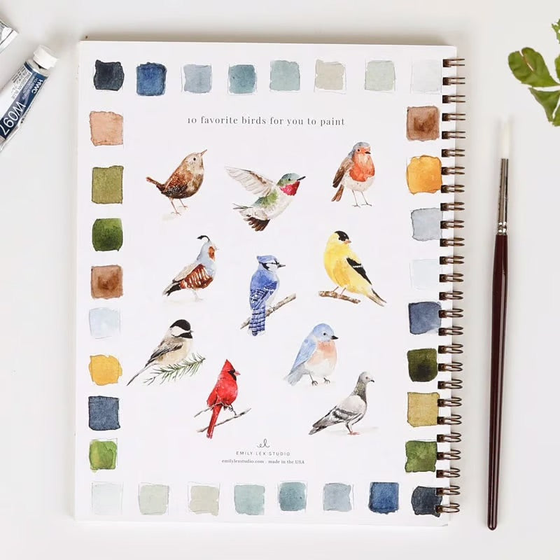 AquaRêve™ | Entfalten Sie Ihre Kreativität mit unserem unterhaltsamen Aquarellbuch!
