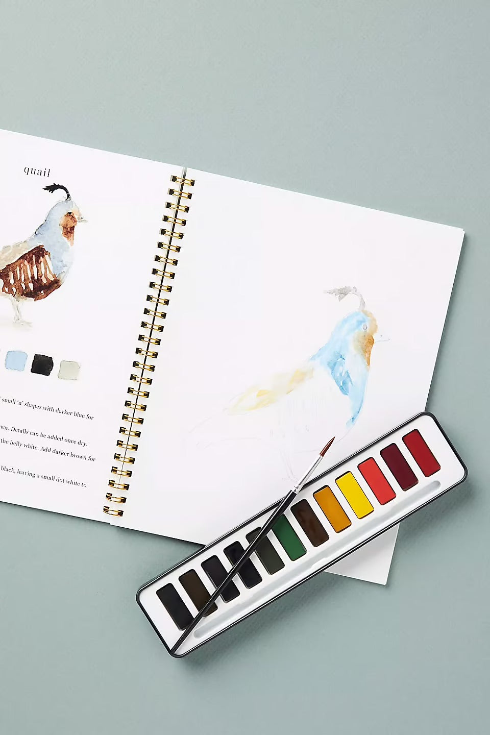 AquaRêve™ | Entfalten Sie Ihre Kreativität mit unserem unterhaltsamen Aquarellbuch!